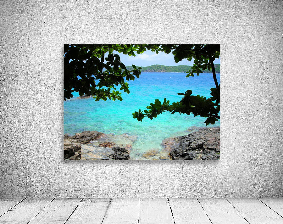 Tropical13 Wall Preview