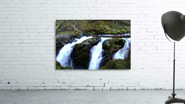 Greenery Wall Preview