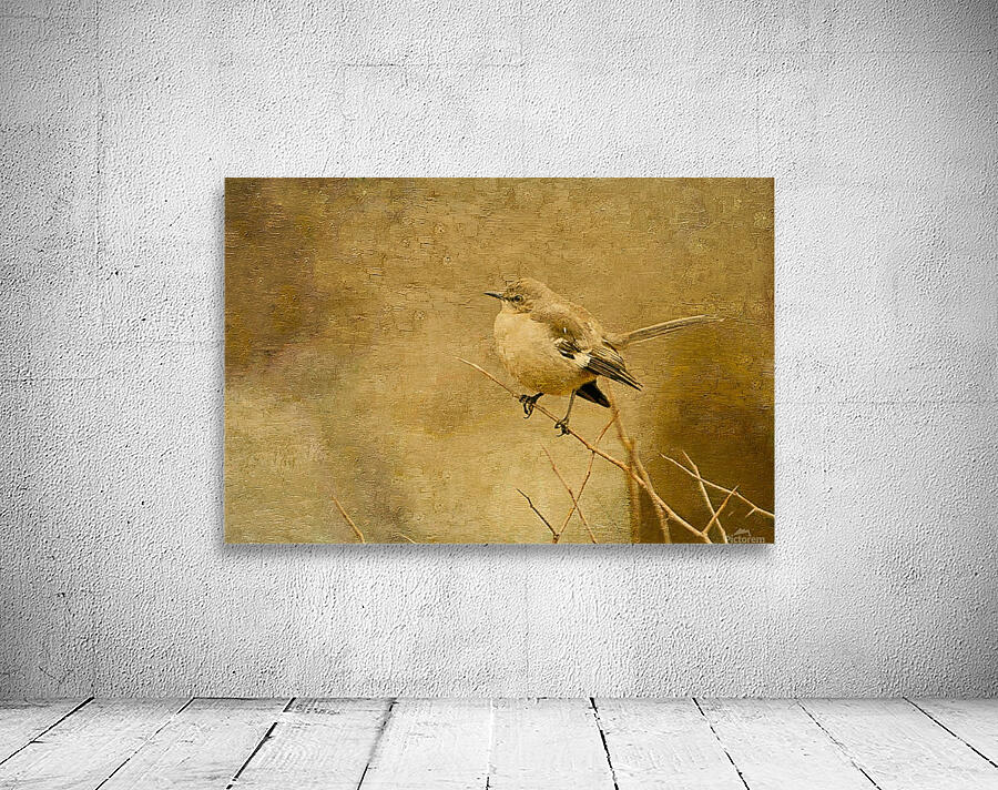 Mockingbird Canvas Wall Preview