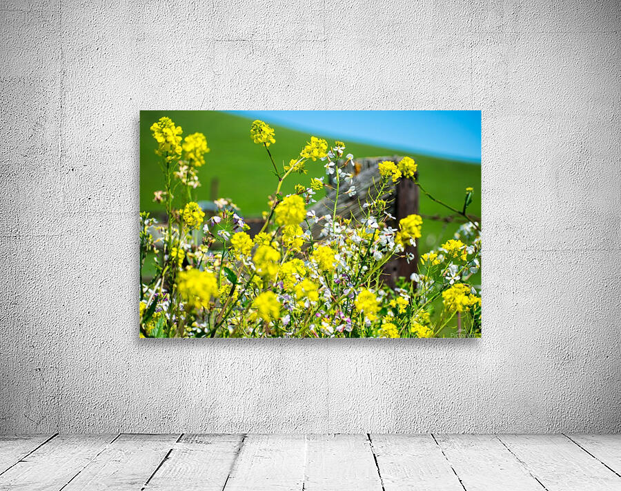 20190330 DSC_0418 Wall Preview