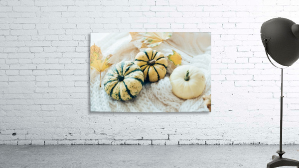 Three pumpkins by Daria Minaeva