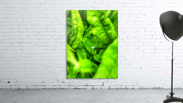 Fragile  Wall Preview