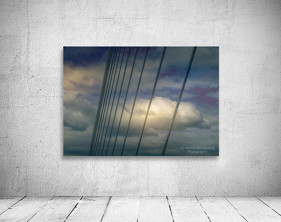 Savannah Bridge Support Wires Wall Preview