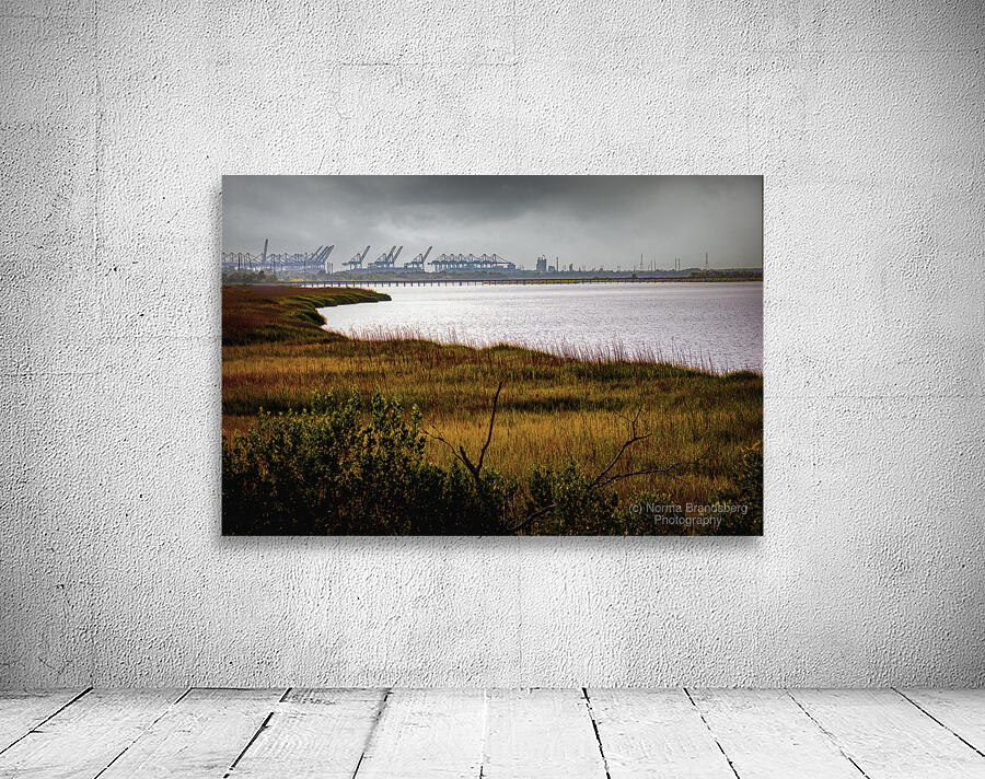 Savannah Shipyard Marsh Silhouette Wall Preview