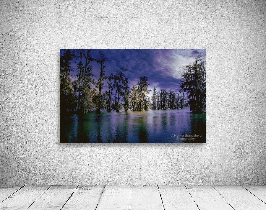 Louisiana Line of Trees Winter Wanderings Wall Preview