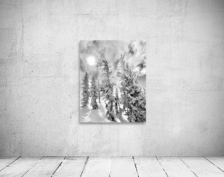 Frozen Giants  Wall Preview