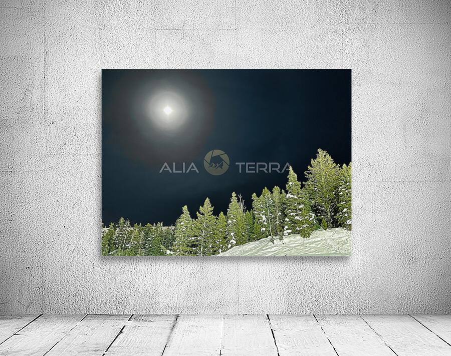 Moonlit Pines Wall Preview