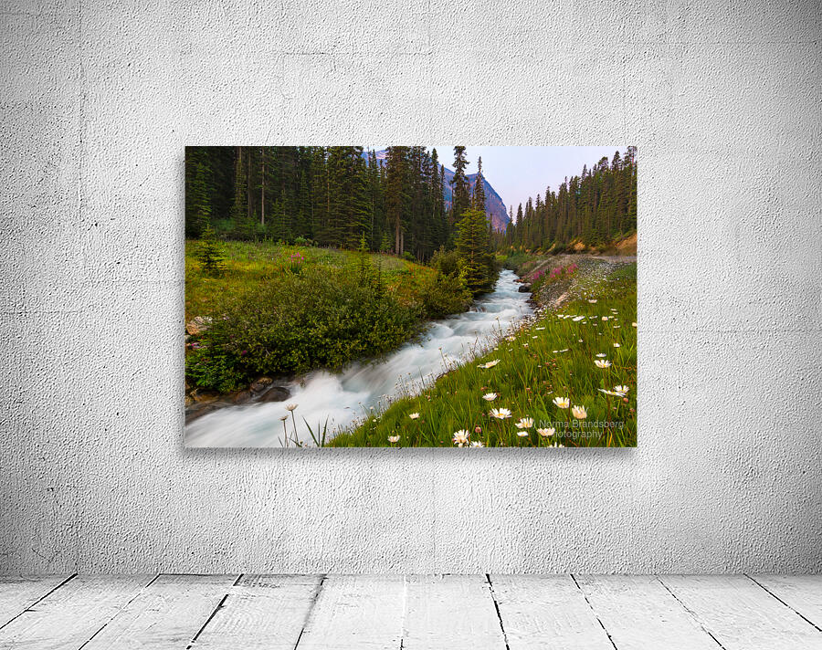 Moraine Stream Wildflower Display Wall Preview