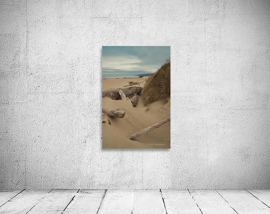 Siuslaw North Jetty 3 - Florence Oregon by Bill Dillingham