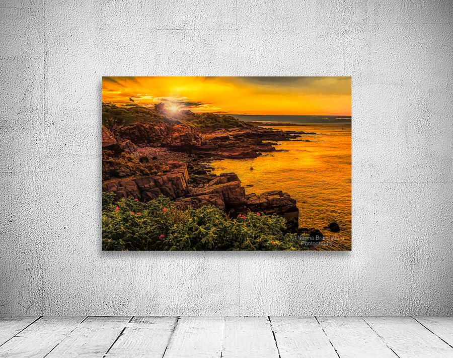 Sunset Fort Williams Park Cliffs Wall Preview