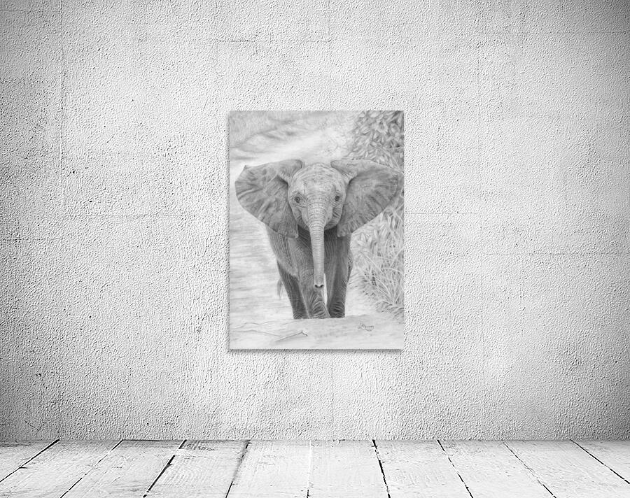 Young Elephant by Lindsay Mawson