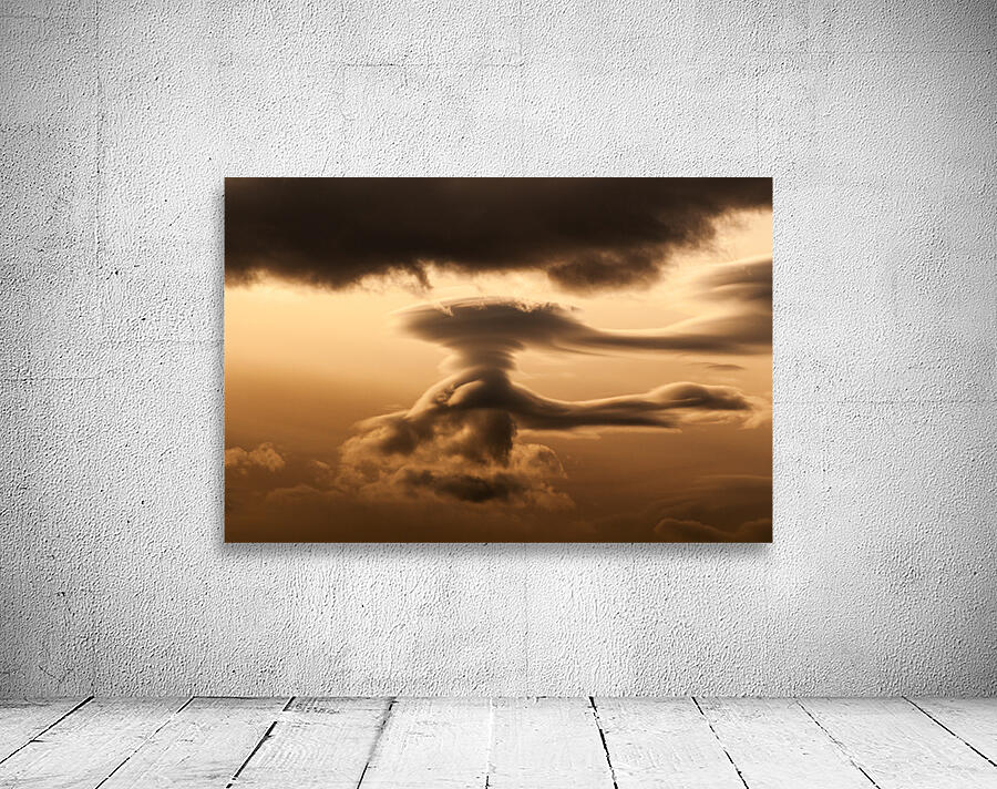 The Guide - Original Wall Preview