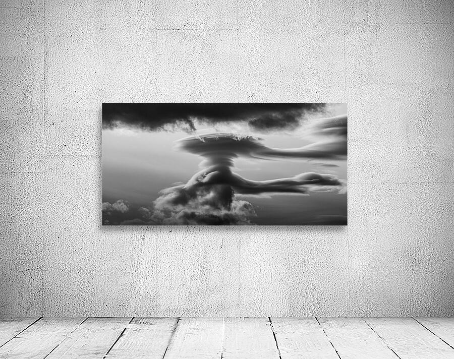 The Guide - Black and White Wall Preview