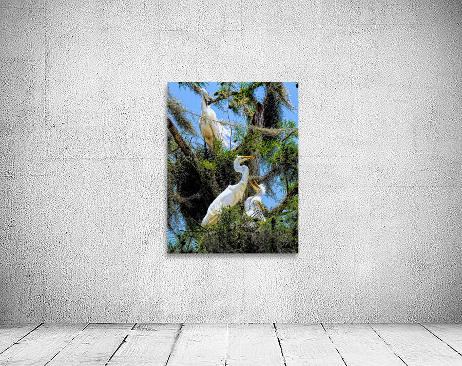 THE EGRET FAMILY Wall Preview