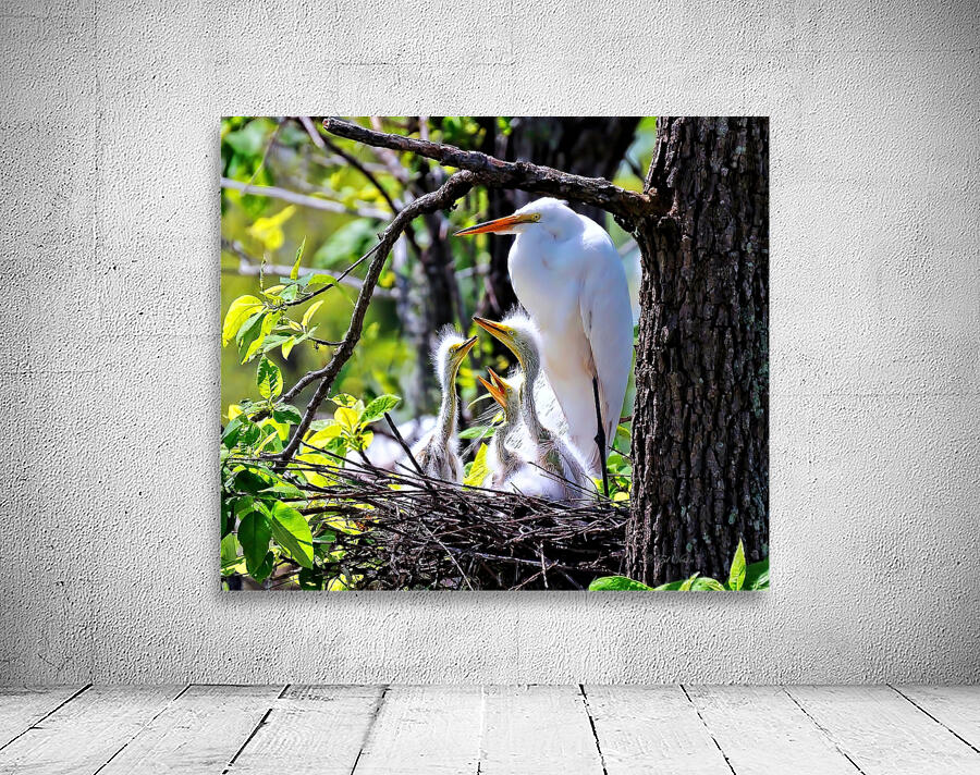 FRAMED BY NATURE Wall Preview