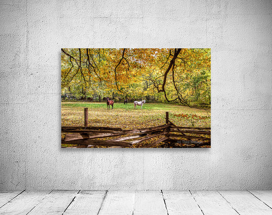 What are You Staring At Wall Preview