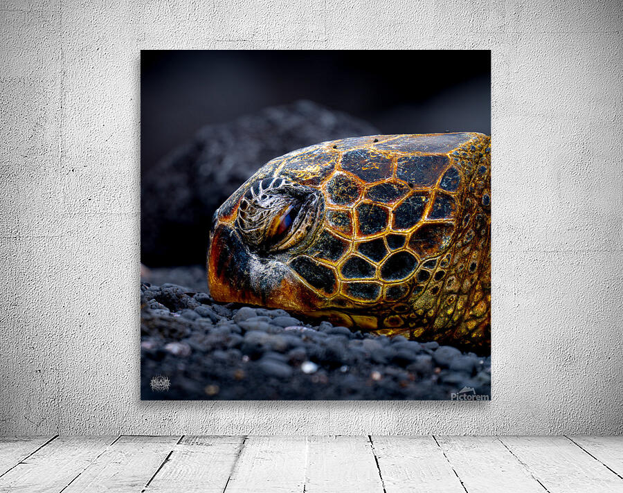 Called in Slick Wall Preview