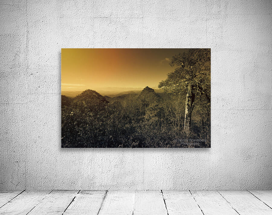 Smoky Mountains Forest Overlook Wall Preview