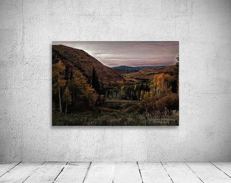 Aspen Glow in Snowmass Wall Preview