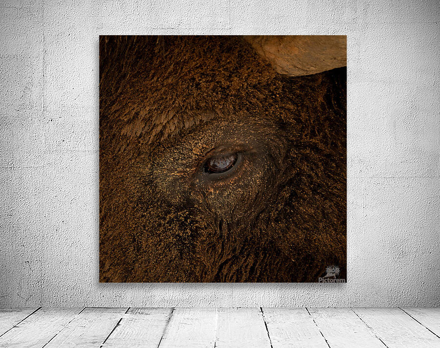 Eye of the Storm Wall Preview