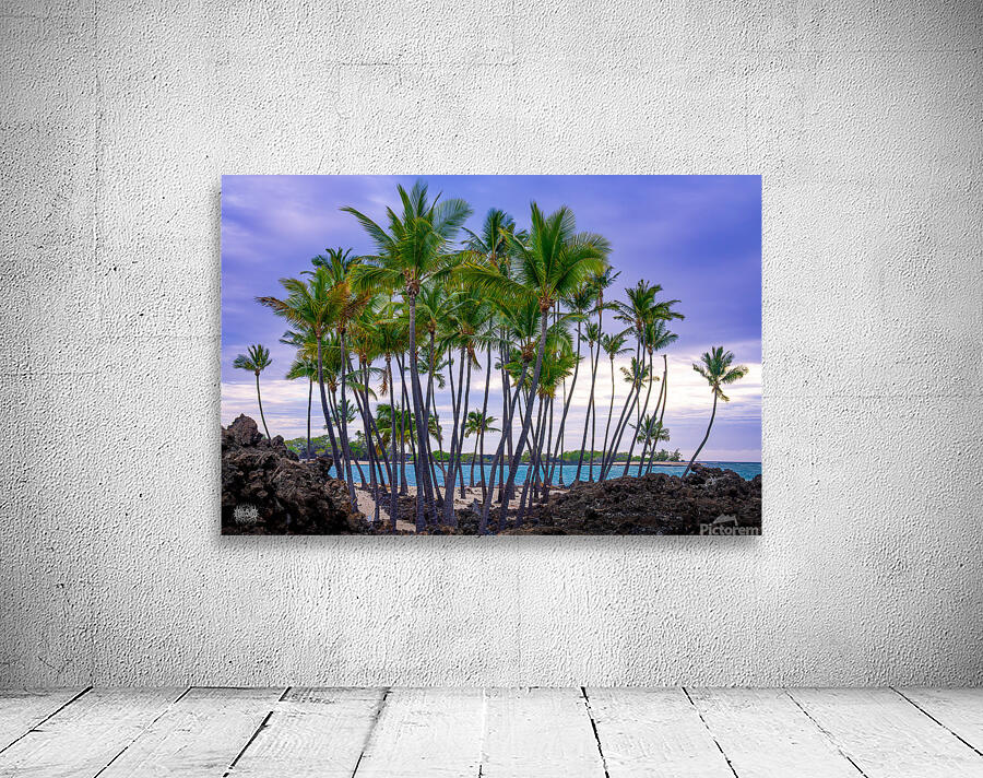 From the Ashes Wall Preview