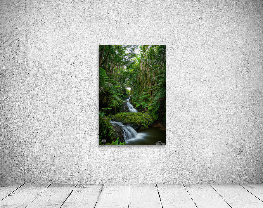 Now You Are Like Me Wall Preview