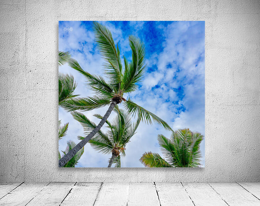 Palm Reader Wall Preview