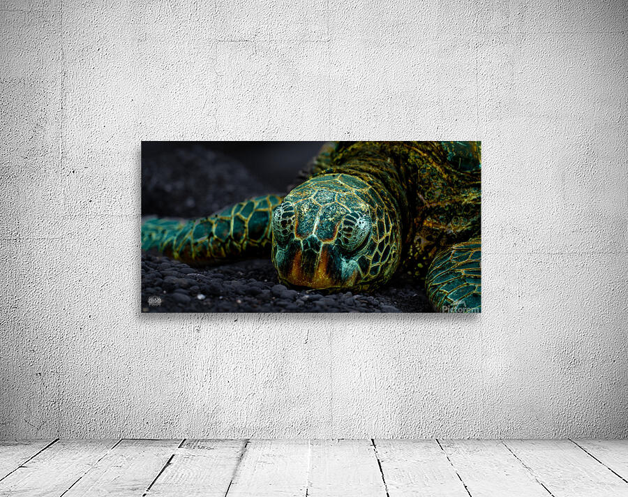 The Hare Can Have It Wall Preview