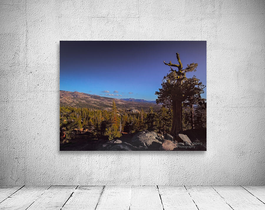 Eldorado National Forest Wall Preview