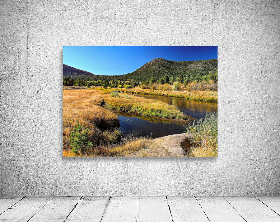 Lake Tahoe Desert Grass Marsh Wall Preview