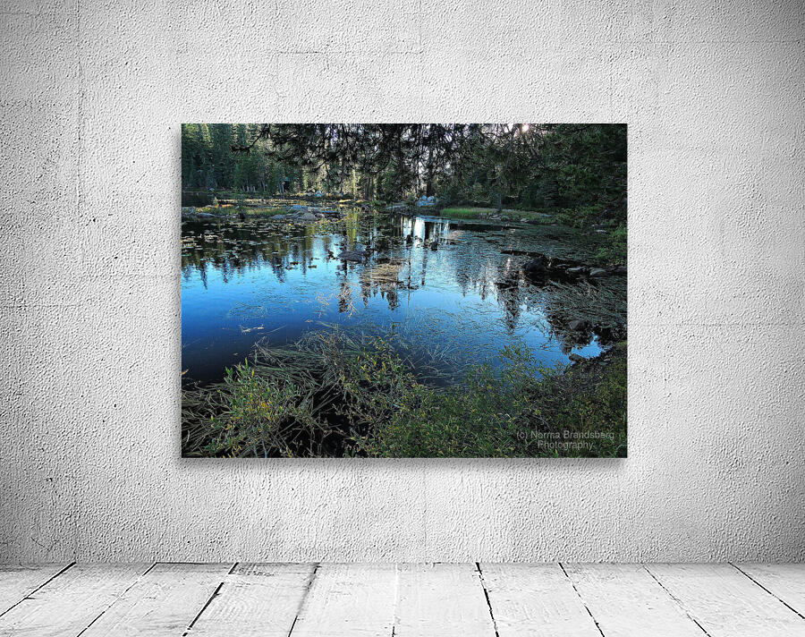 Sierra Mountain Pond Evening Reflections Wall Preview
