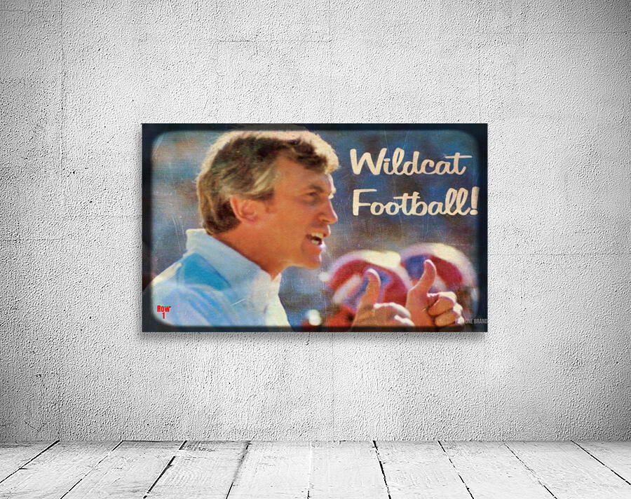 1981 Arizona Wildcats Football Viewfinder Art  Wall Preview