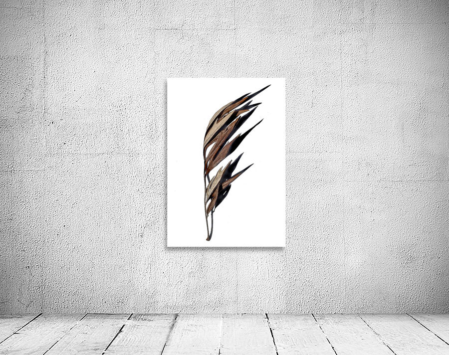 Quill by Riley Fine Art Photography