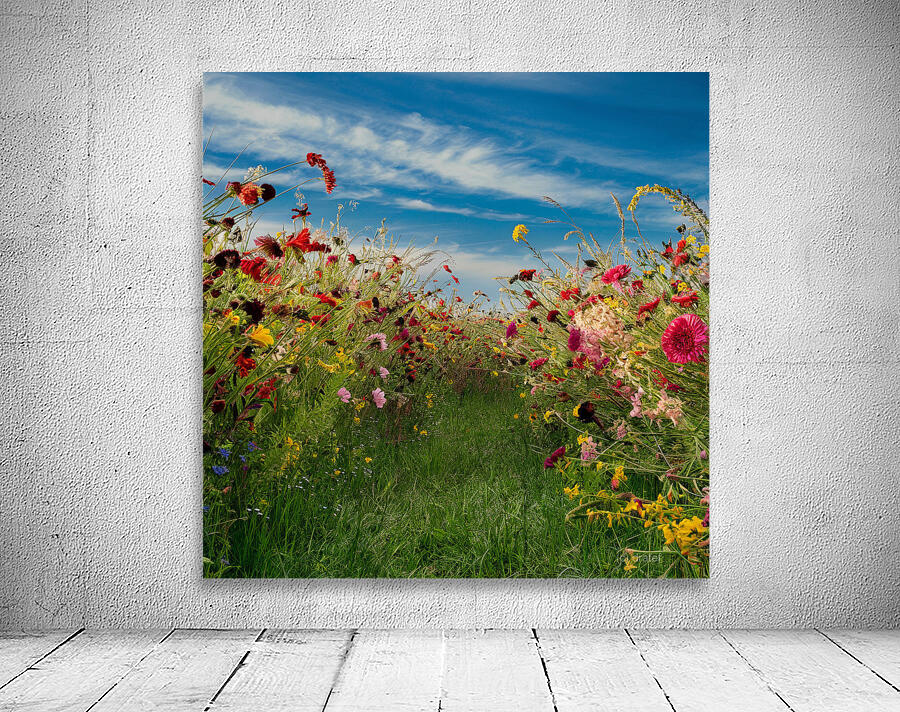 Wildflower Meadow Wall Preview