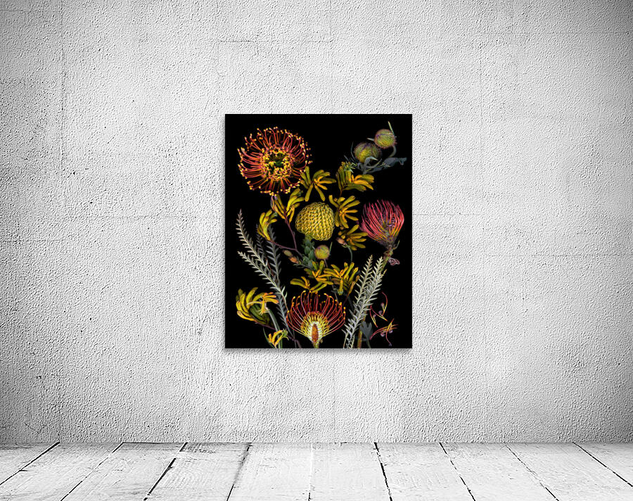 Protea and Kangaroo Paws Wall Preview