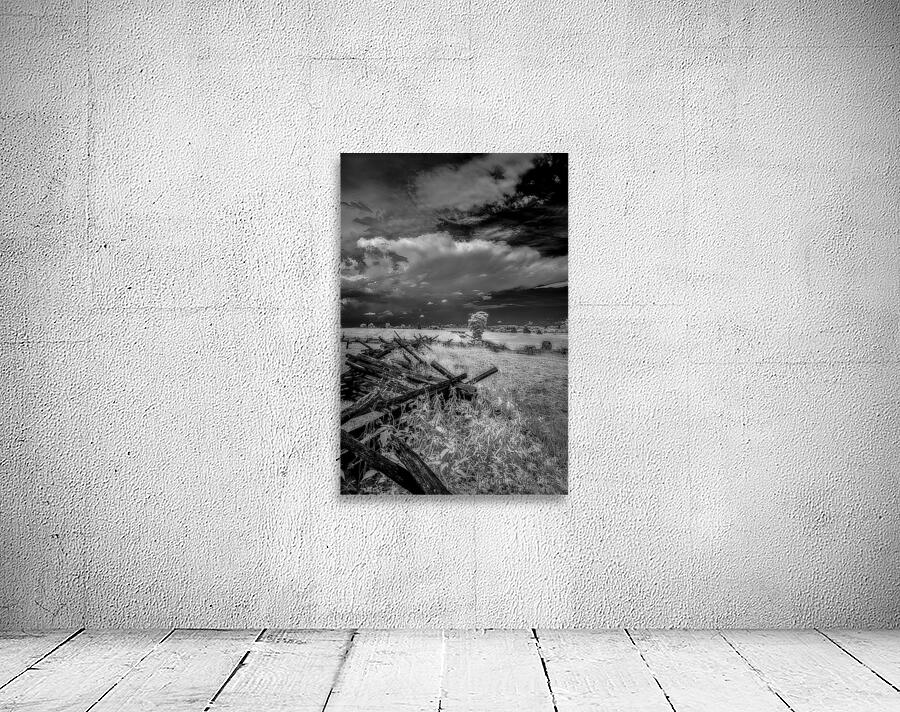 The Balance of Natures Chaos Wall Preview