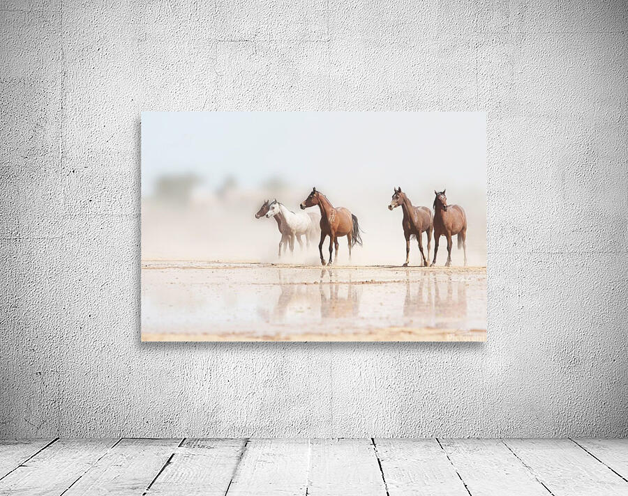 Desert Horses Wall Preview