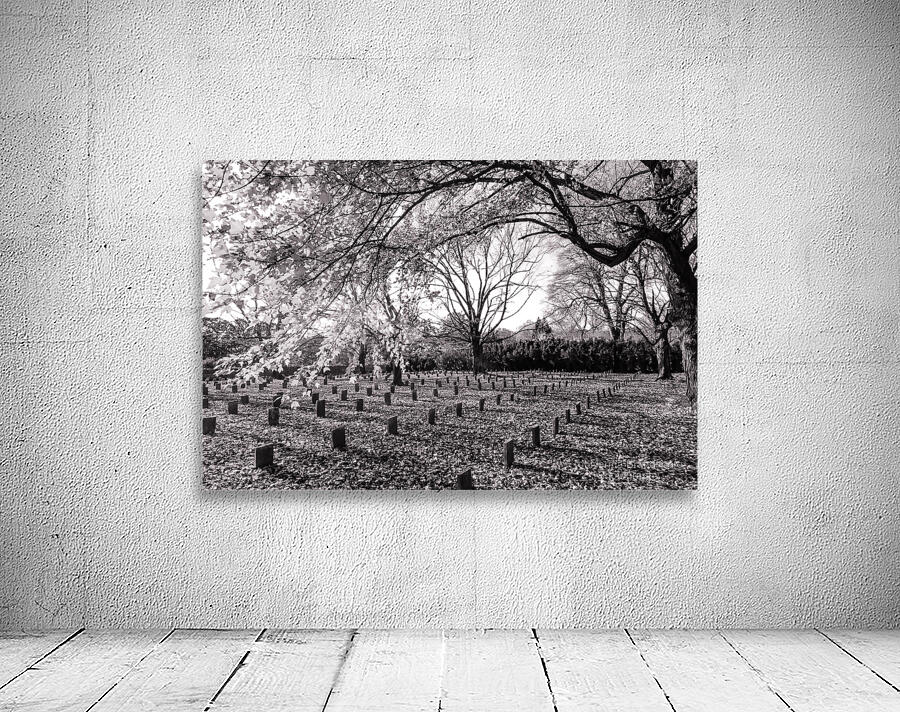 lynchburg old city cemetery BWpink Wall Preview