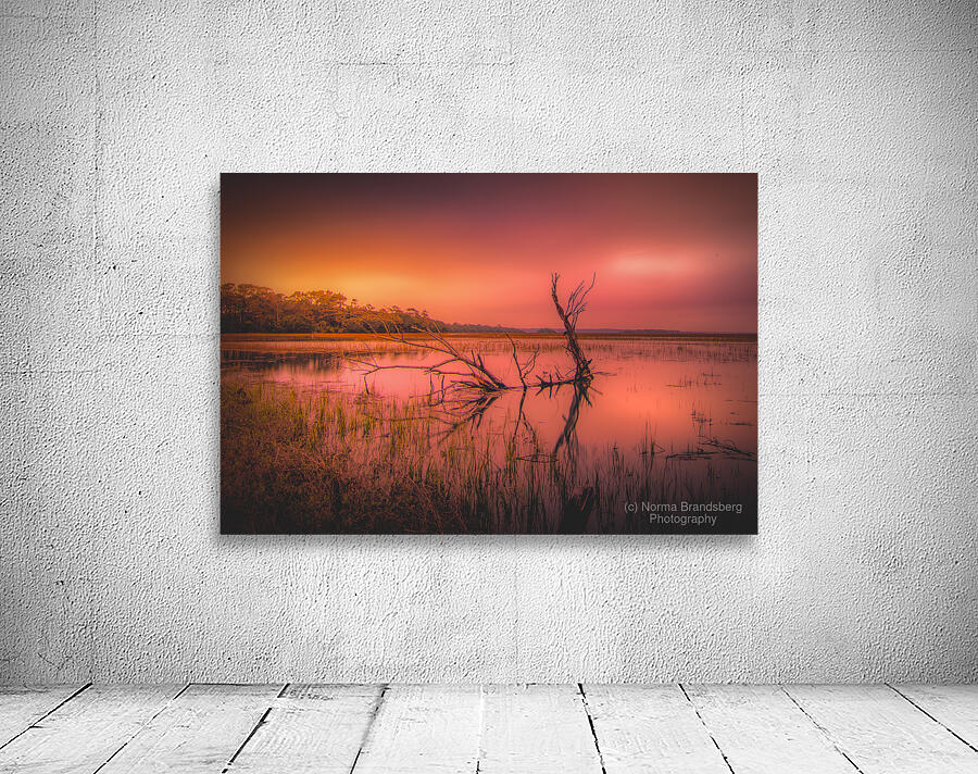 Edisto Island Marsh Daybreak Wall Preview