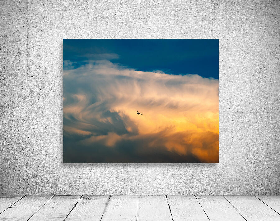 Free Bird Wall Preview