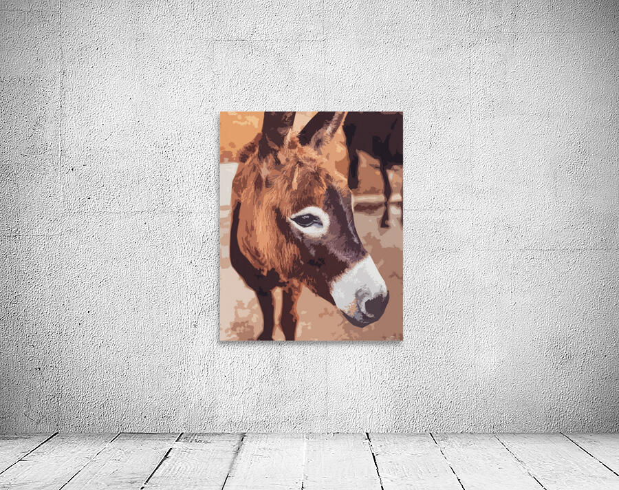 Donkey poster style by By the C Media
