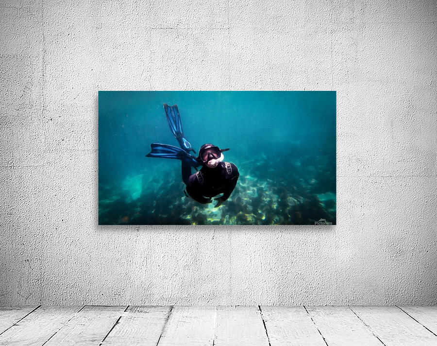 freedive Wall Preview