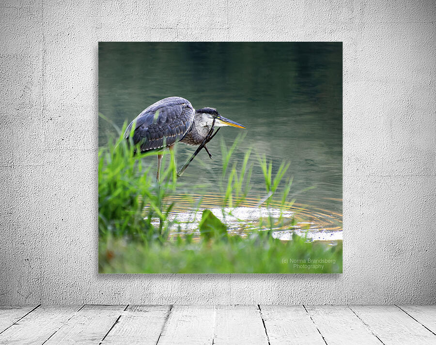 Peaks of Otter Heron Forging Wall Preview