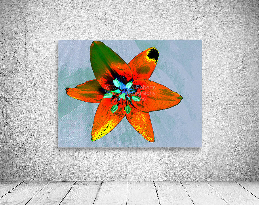 Abstract Vibrantly Coloured Single Lily Flower Wall Preview