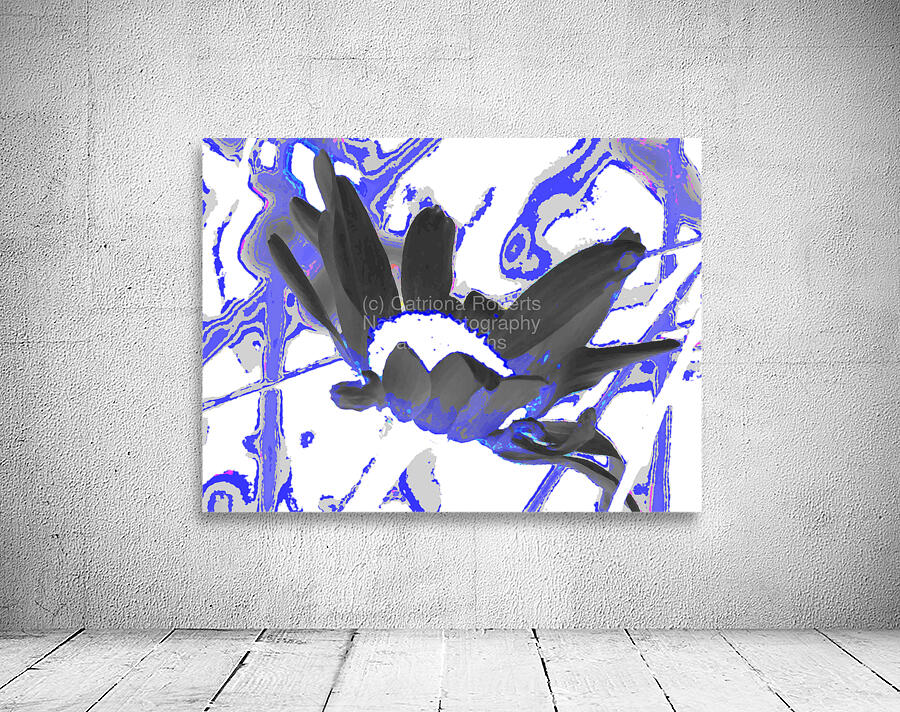  Abstract Wild Daisy Flower Wall Preview