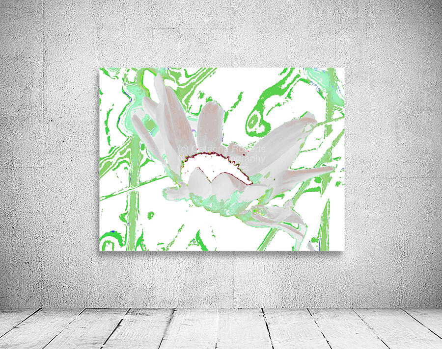 Abstract Green and White Daisy Wall Preview