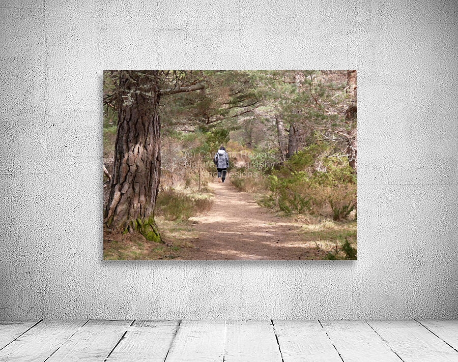  A Walk in Nature in the Scottish Highlands Wall Preview