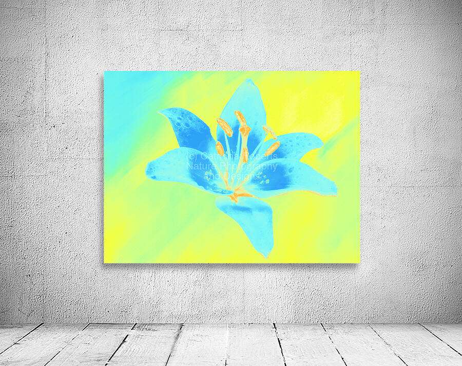 Abstract Vibrant Blue and Yellow Single Lily Flower Wall Preview