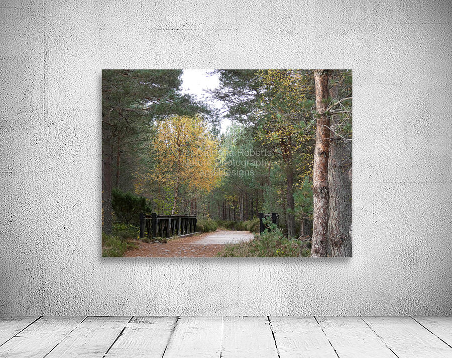  The Bridge in the Woods to the Scottish Highlands Wall Preview