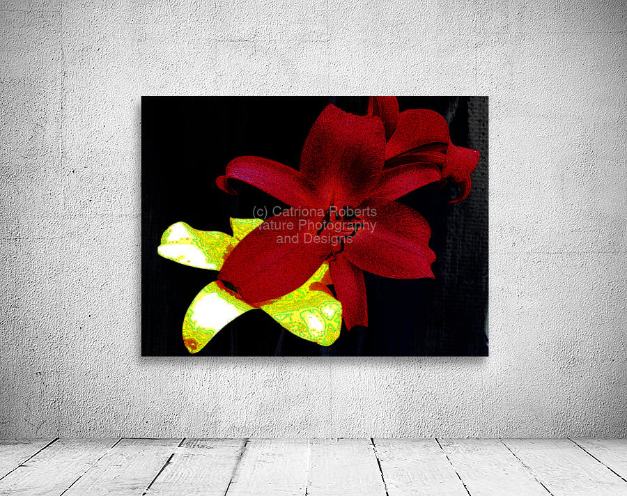 Cool Contemporary Dark Lily Flowers Wall Preview